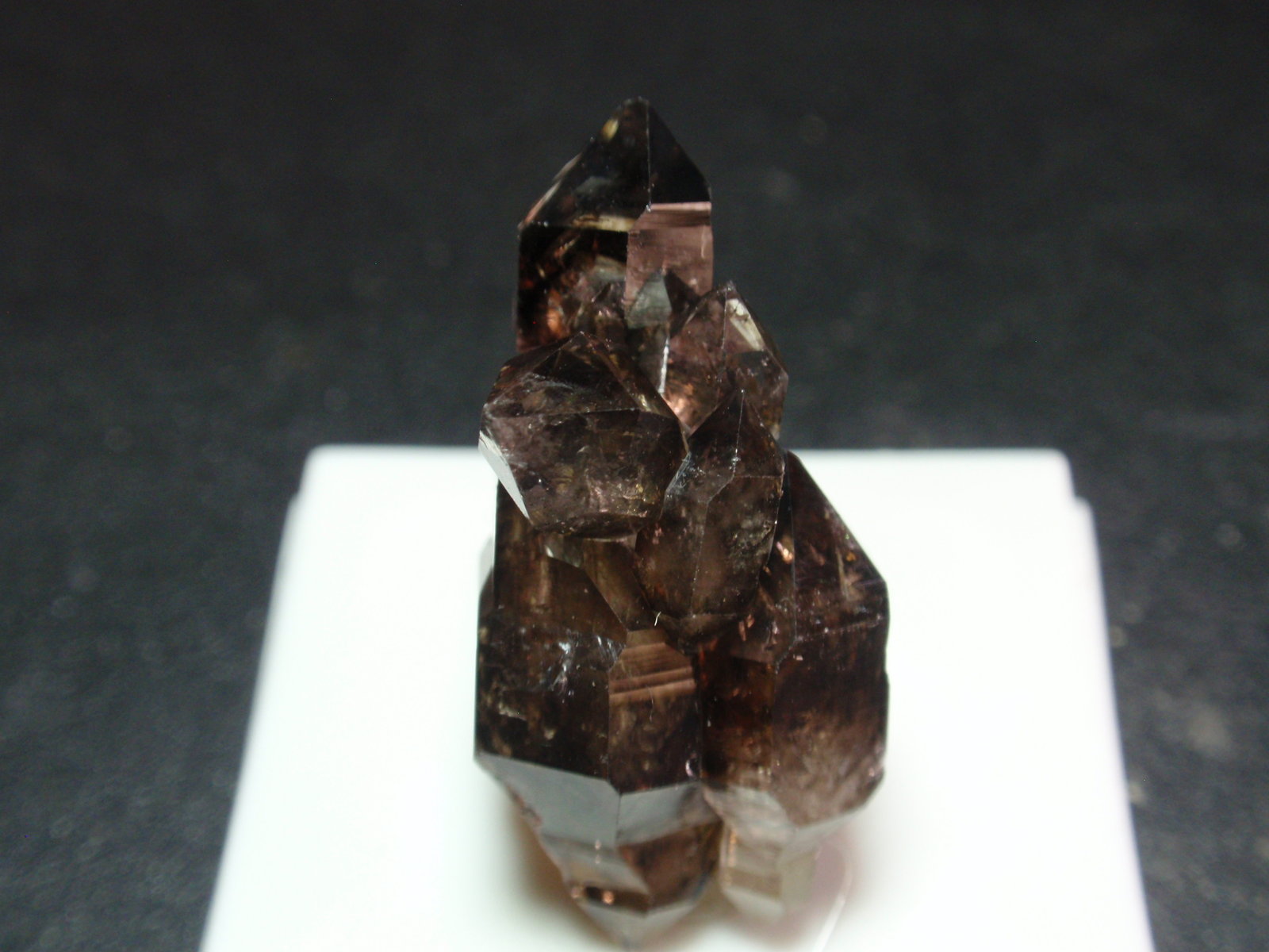 Cuarzo (variedad ahumado)
15x30 mm
(Autor: Ignacio)