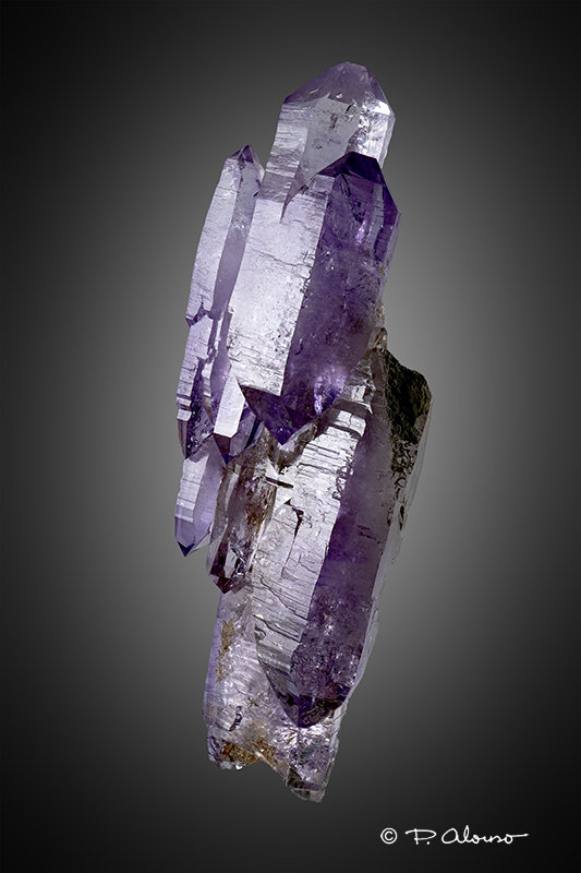 Cuarzo (variedad amatista)
2,5cm x 7,5cm x 1,5cm
(Autor: Pere Alonso)