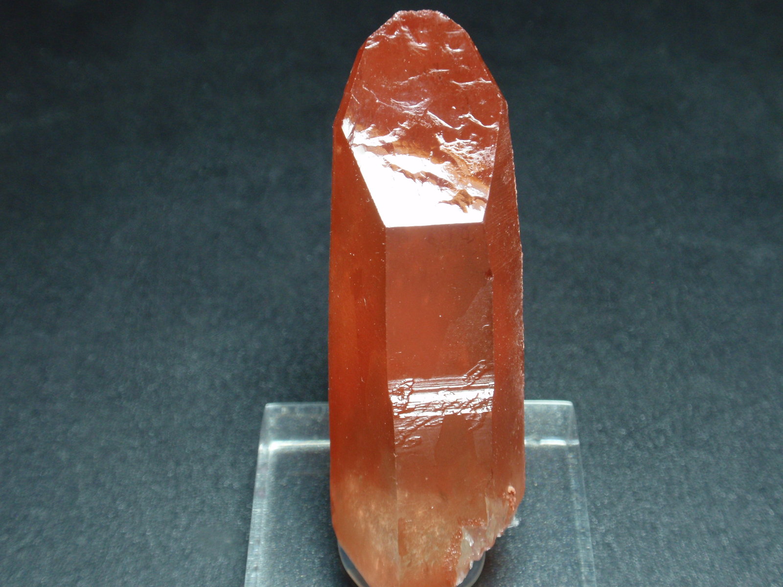 Cuarzo (variedad hematoide)
20x60 mm
(Autor: Ignacio)