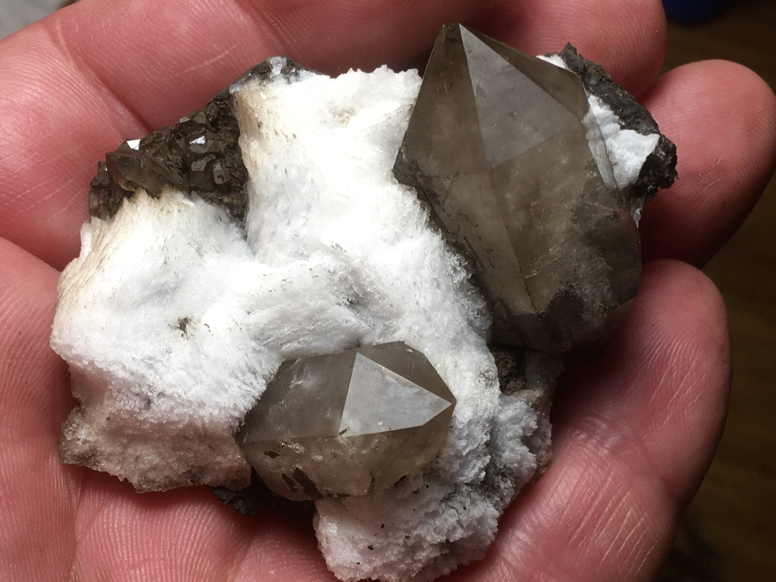 Cuarzo
Mina Rómulo, Collado La Mina, Llano del Beal, Cartagena, Comarca Campo de Cartagena, Región de Murcia (Murcia), España
7 x 5 cm, cristal biterminado 42 mm
(Autor: Matias Raja)