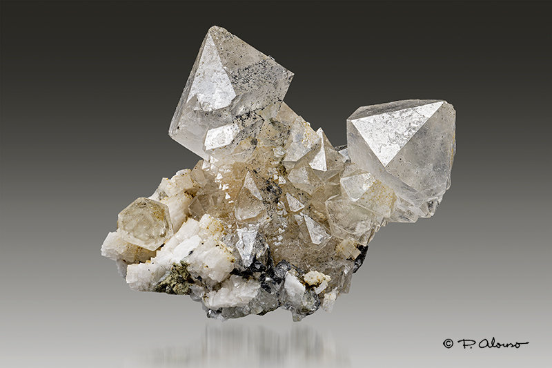 Cuarzo (variedad cetro) con Magnetita
4,5cm x 3cm x 3,4cm
(Autor: Pere Alonso)