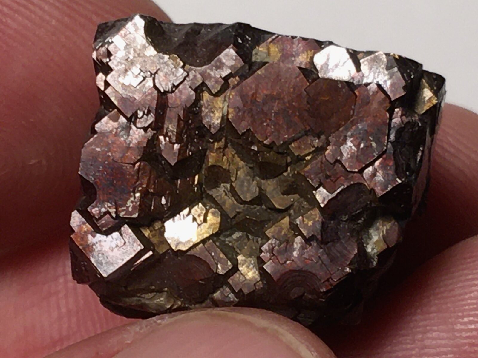 Pirita
Ricote, Comarca Valle de Ricote, Región de Murcia (Murcia), España
22 x 20 mm
(Autor: Matias Raja)
