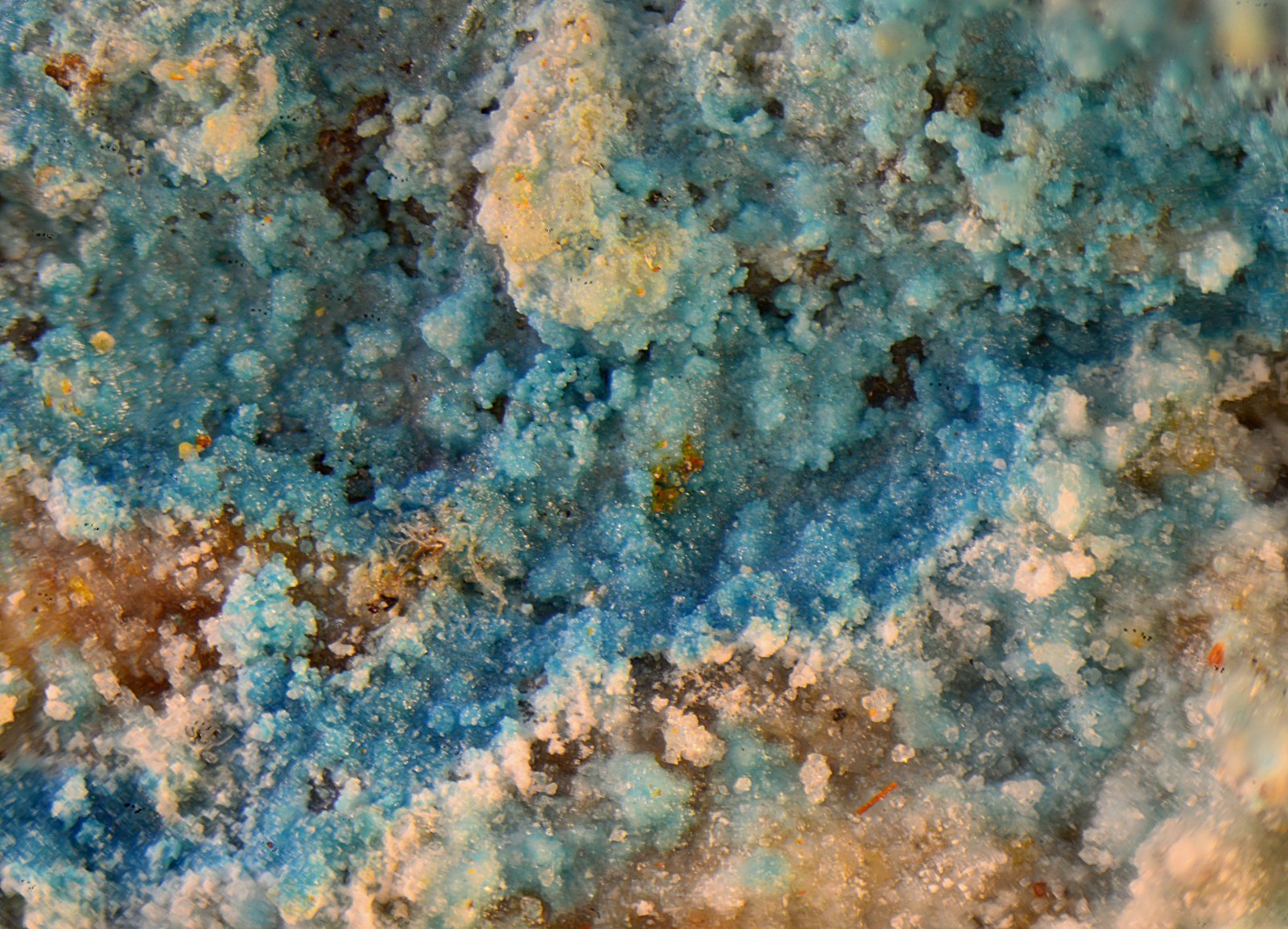 Cumengeita
Campo de visión de 3 mm
(Autor: Antonio Carmona)