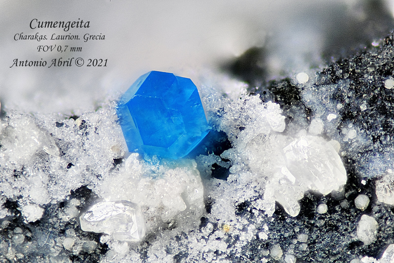 Cumengeita
0.7 mm
(Autor: Antonio Abril)