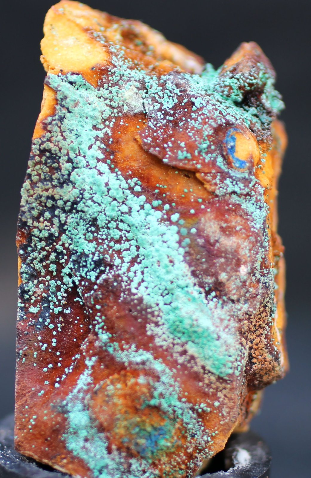 Malaquita pseudo Cuprita
49 x 27 x 19 mm
(Autor: José Luis Zamora)