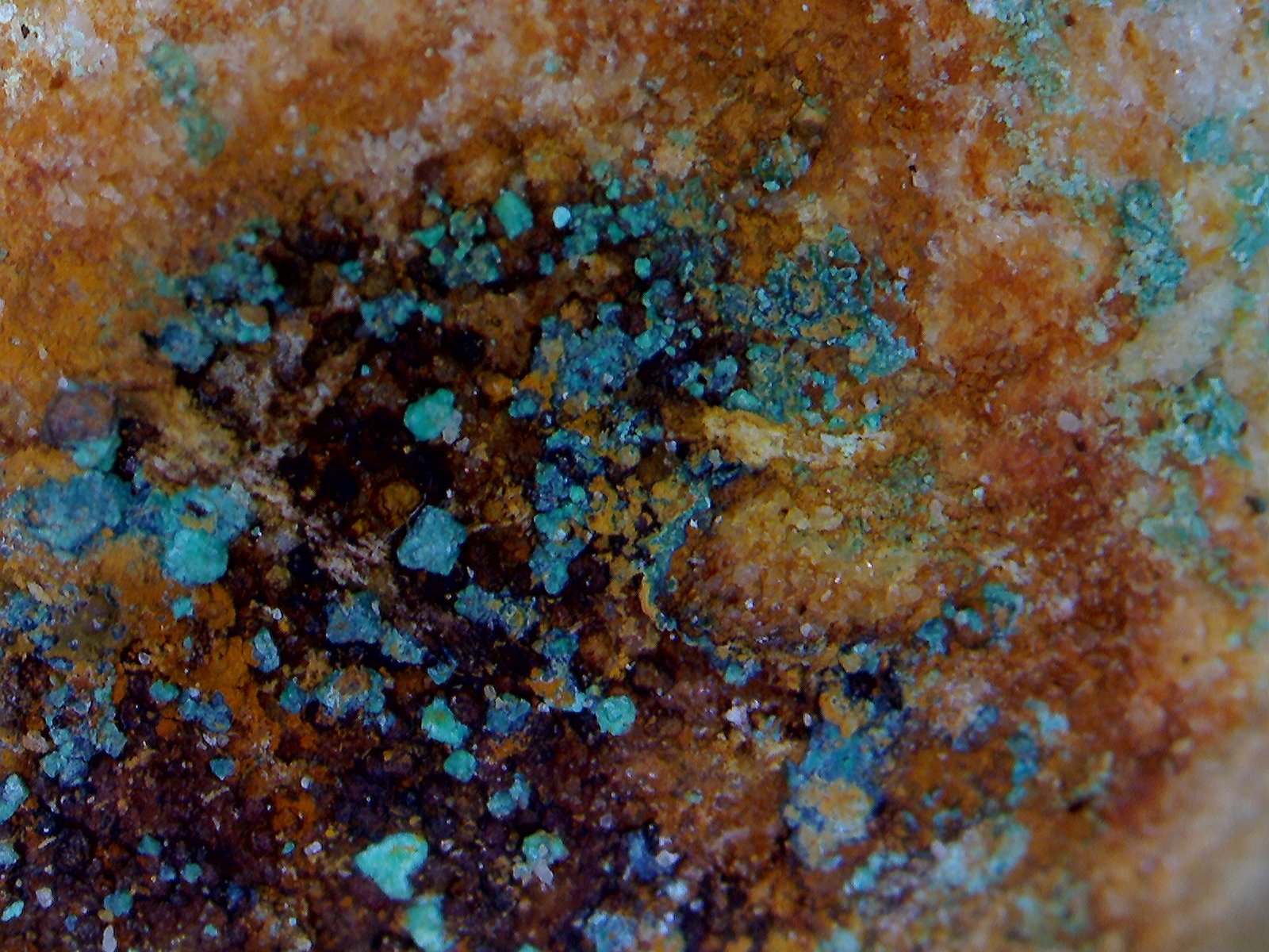 Cuprita.
5´217 x 4´170 mm.
(Autor: Jesus Franquesa Baucells)