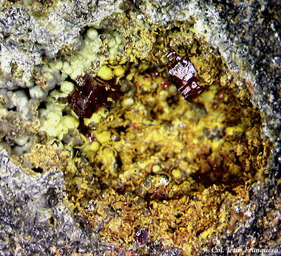 Cuprita.
2´13 x 2´01 mm.
(Autor: Jesus Franquesa Baucells)