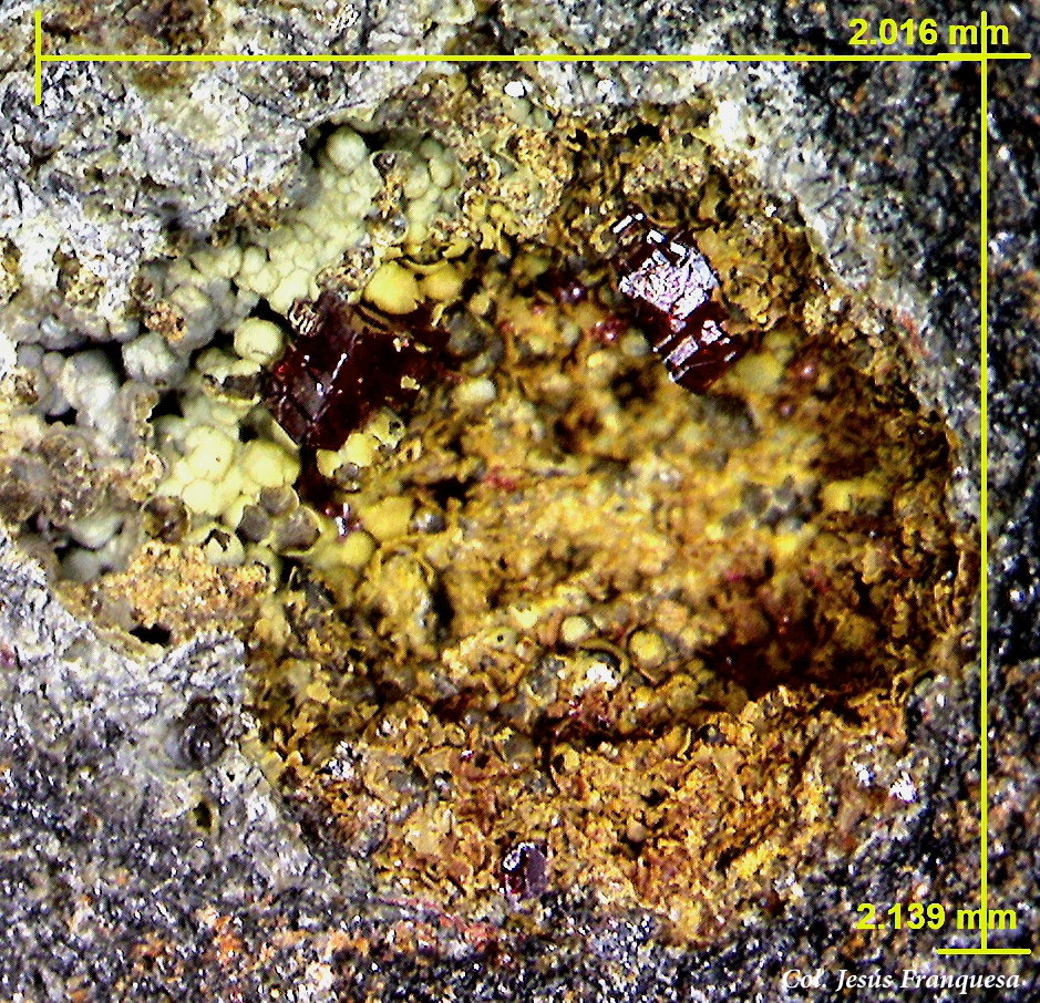 Cuprita.
2´13 x 2´01 mm.
(Autor: Jesus Franquesa Baucells)