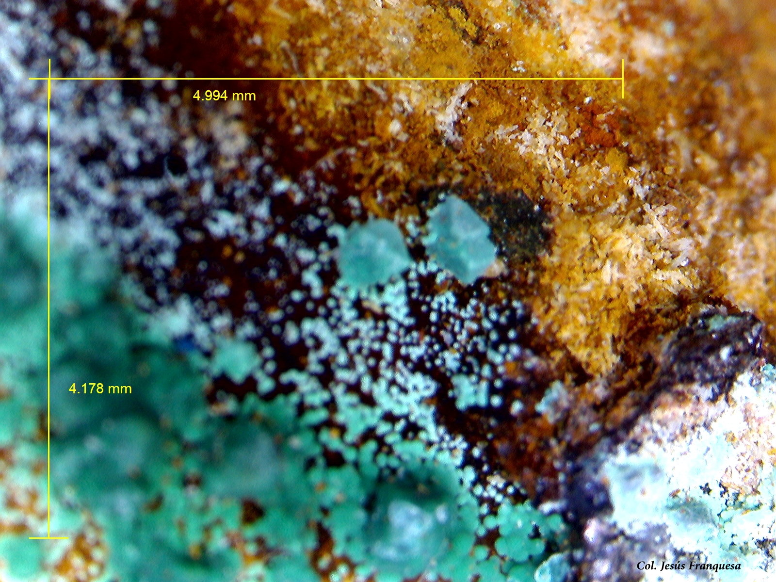 Cuprita.
4´994 x 4´178 mm.
(Autor: Jesus Franquesa Baucells)