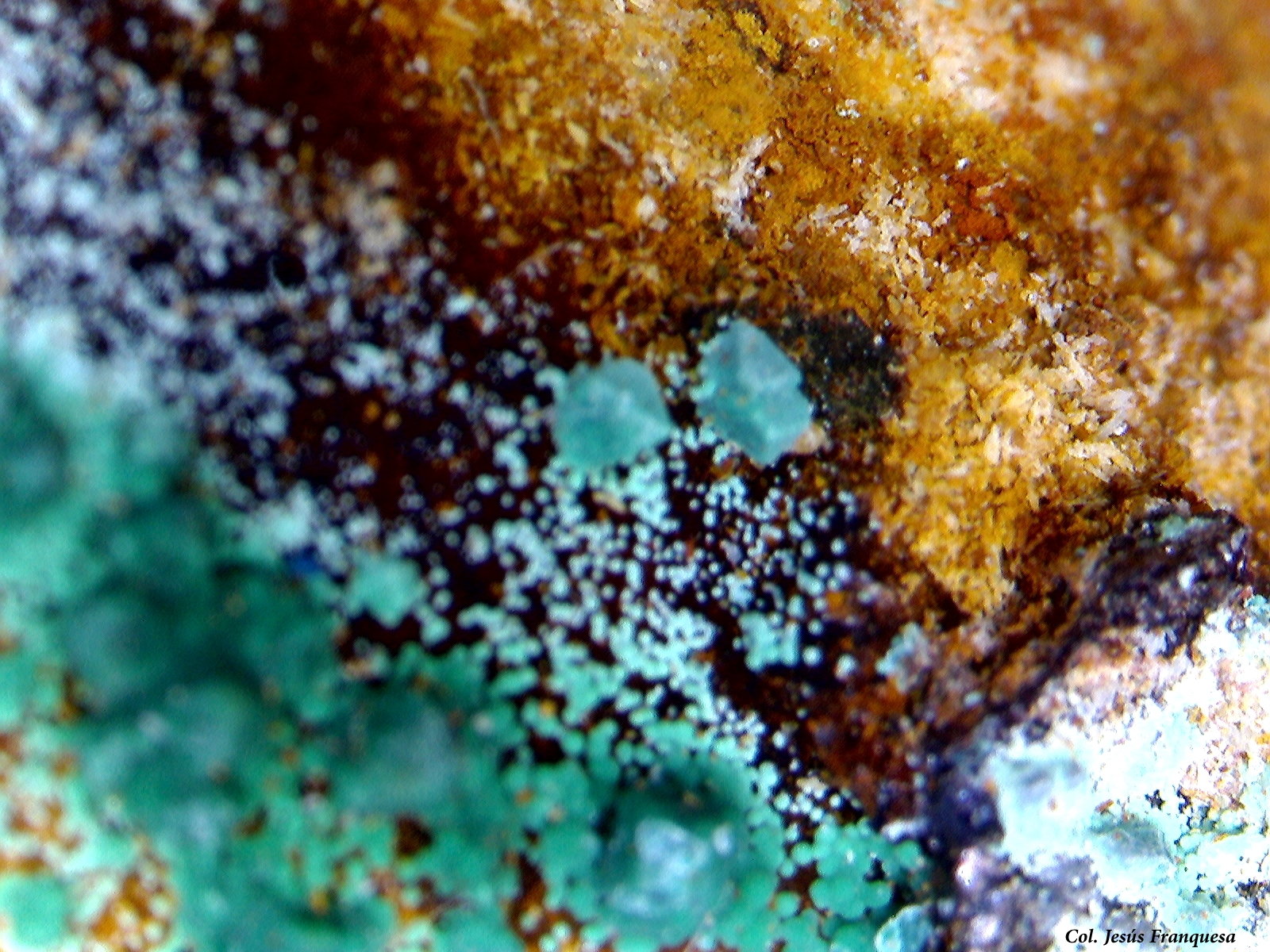 Cuprita.
4´994 x 4´178 mm.
(Autor: Jesus Franquesa Baucells)