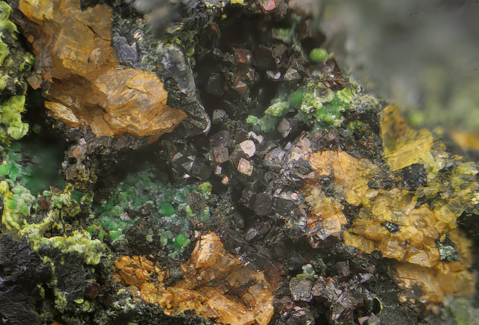 Cuprita, brochantita, calcosina y dolomita.
Campo de visión de 2 mm.
(Autor: Antonio Carmona)