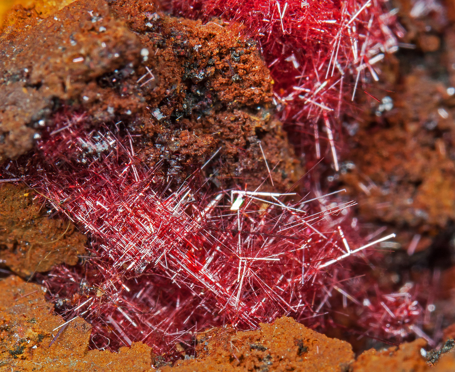 Cuprita variedad chalcotrichita
cristal principal: 1.1 × 0.4 cm
(Autor: Jordi Fabre)
