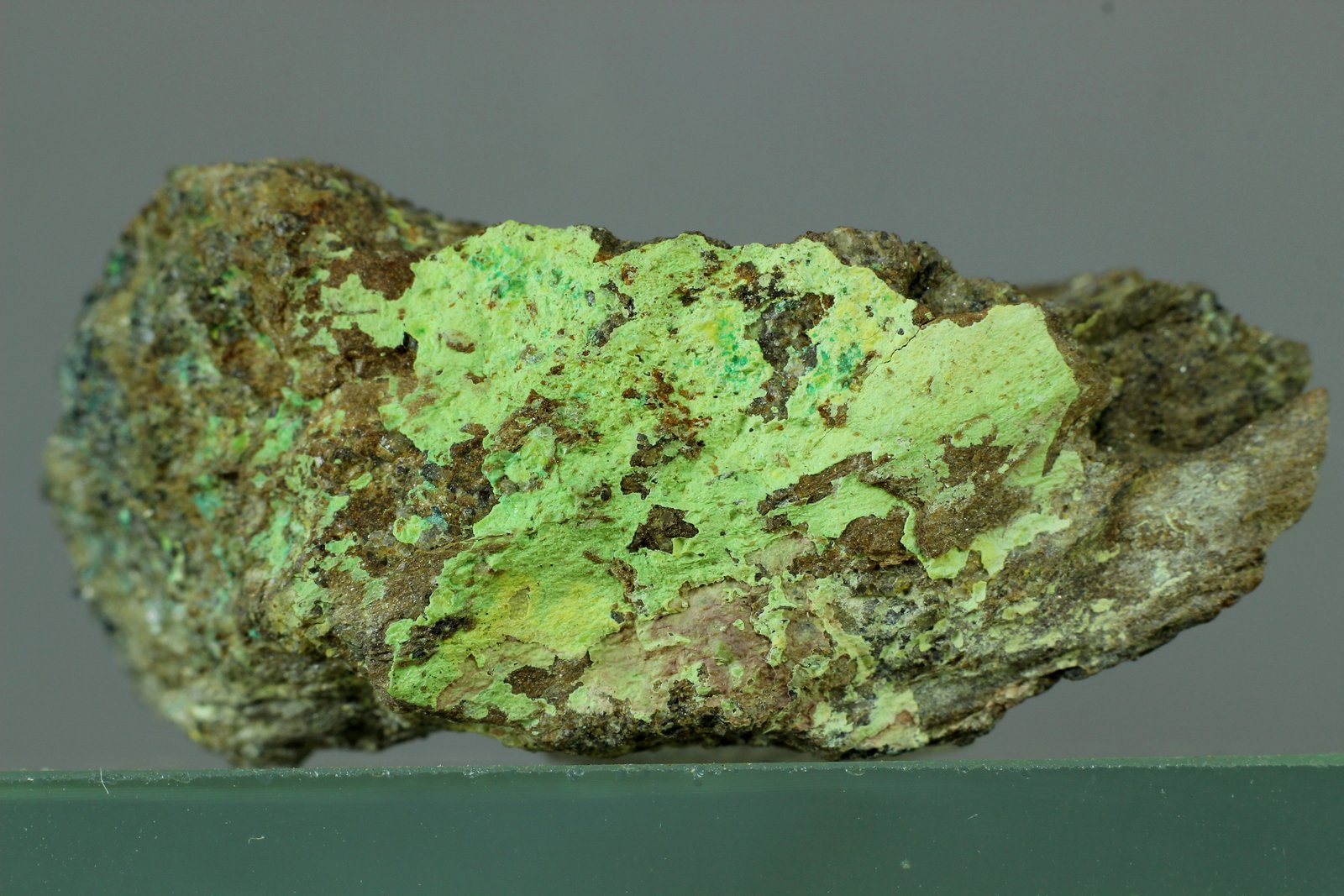 Cuprosklodowskita
25x15 mm
(Autor: Juan Espino)