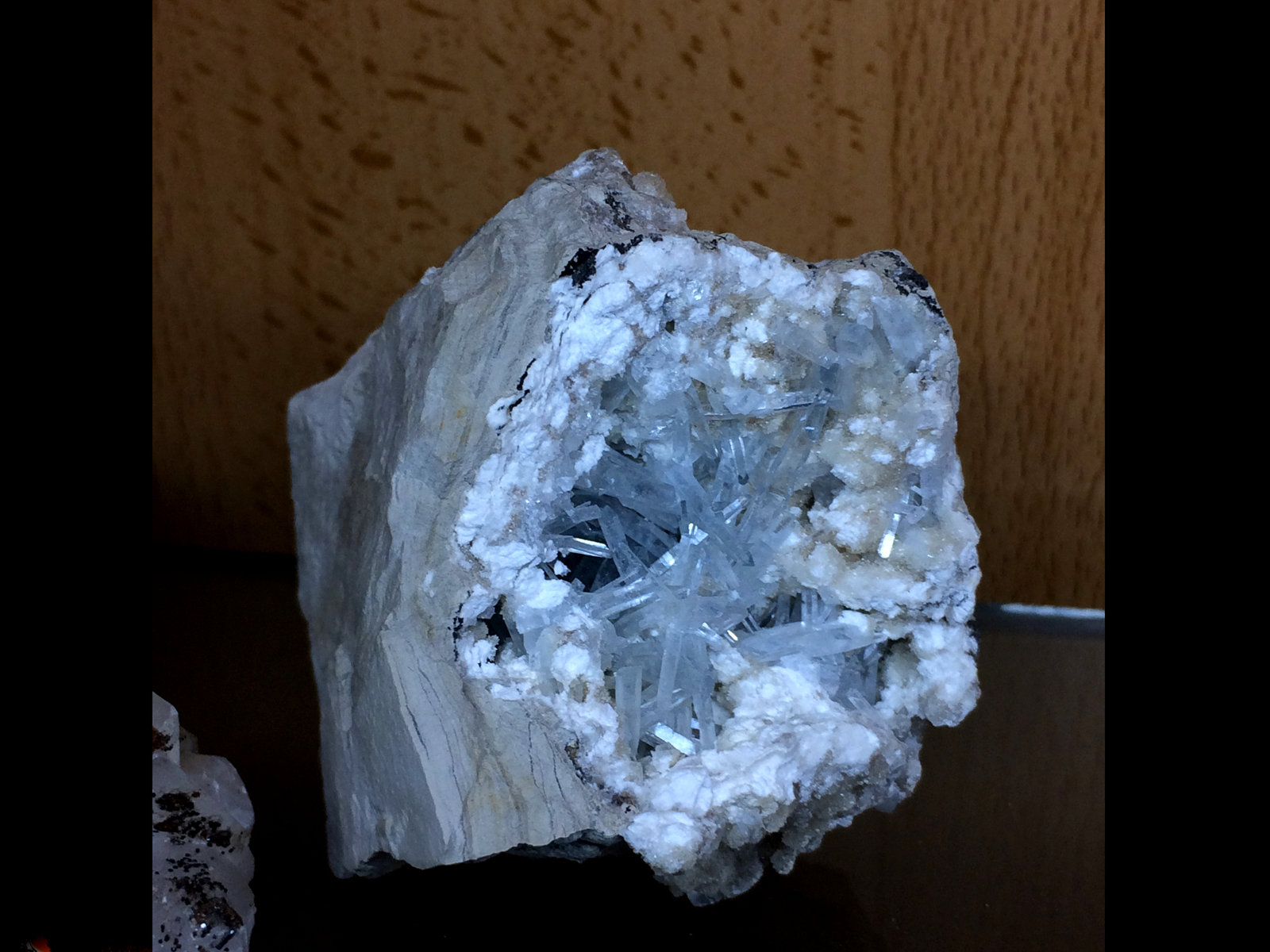 Celestina
8x7cm
(Autor: Obsi)