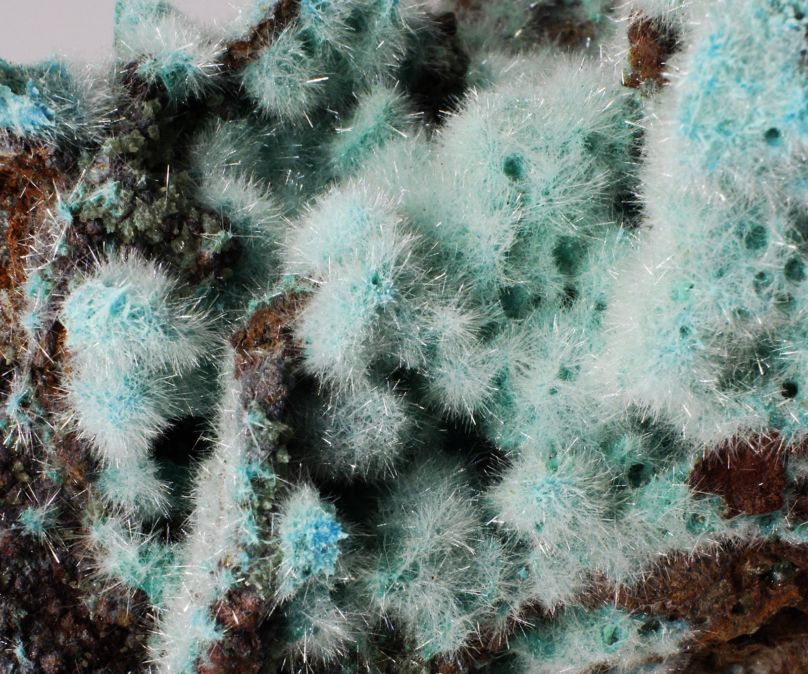 Yeso sobre kobyashevita? (posible antropogénica)
9x7x5 cm
(Autor: Luis Edmundo Sánchez Roja)