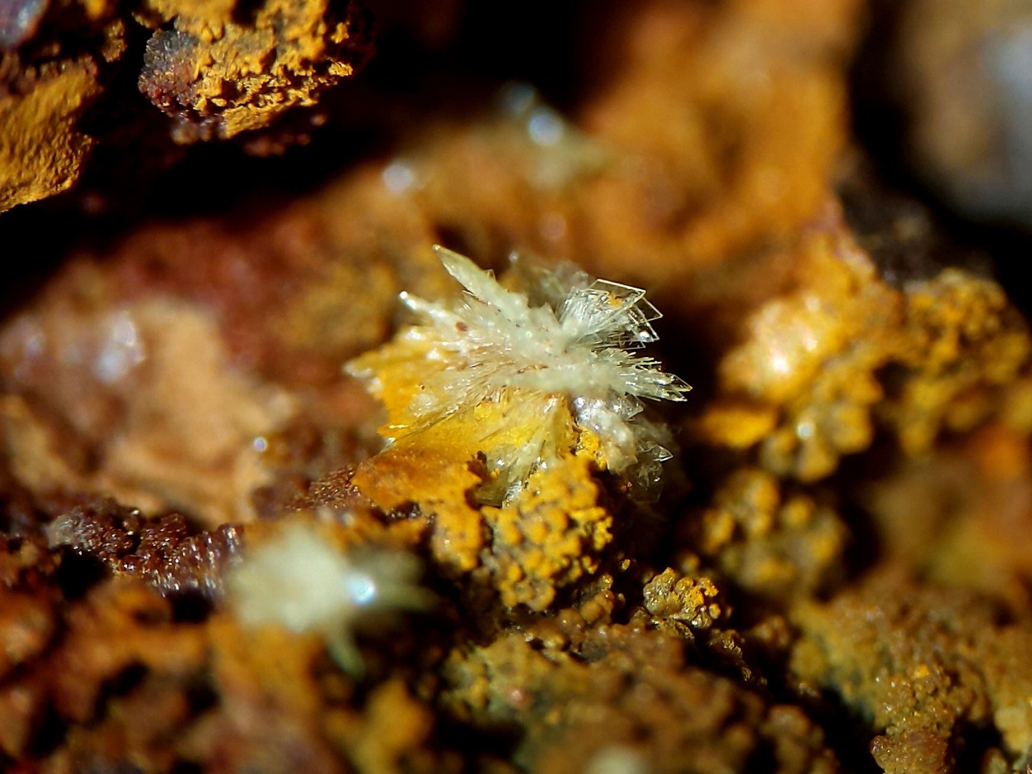 Montgomeryita
CV 4x3 mm
(Autor: Joan Niella)