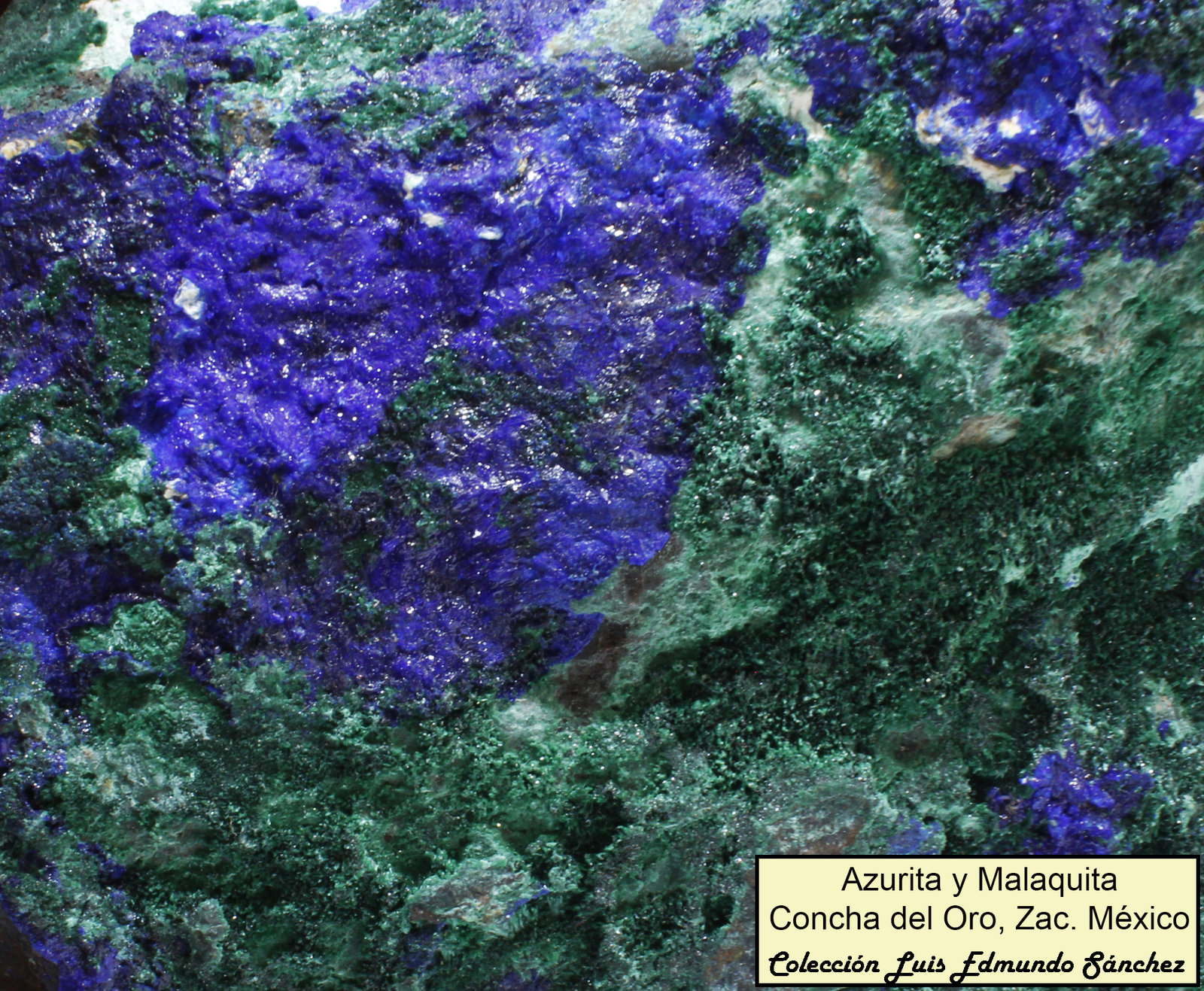 Azurita y Malaquita
9x8x5.5cm
(Autor: Luis Edmundo Sánchez Roja)