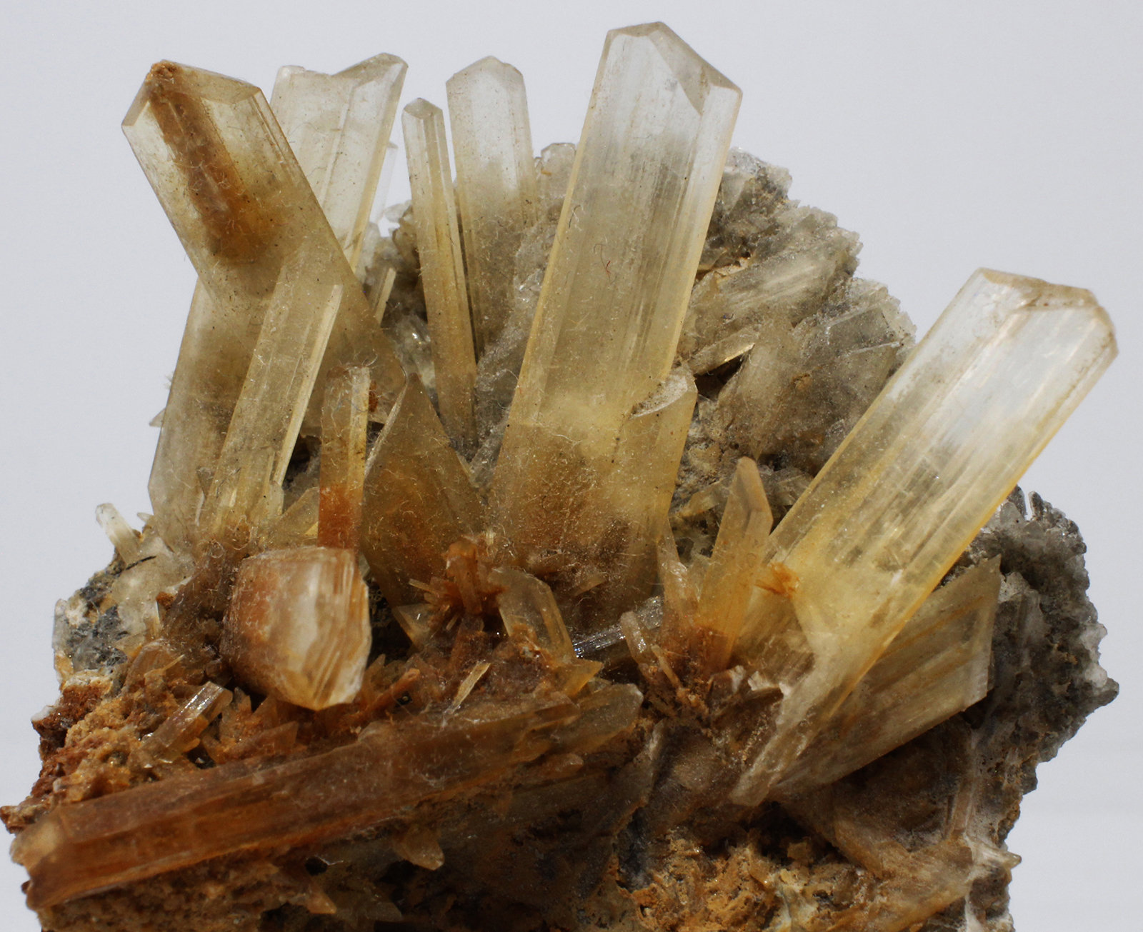 Yeso (variedad selenita)
5.5X4X1.5 cm
(Autor: Luis Edmundo Sánchez Roja)