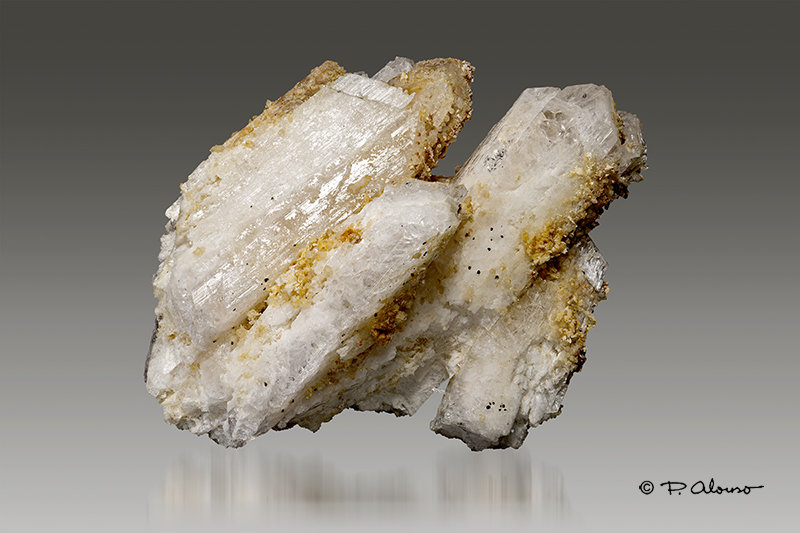 Danburita
6cm x 8cm x 3,5cm
(Autor: Pere Alonso)