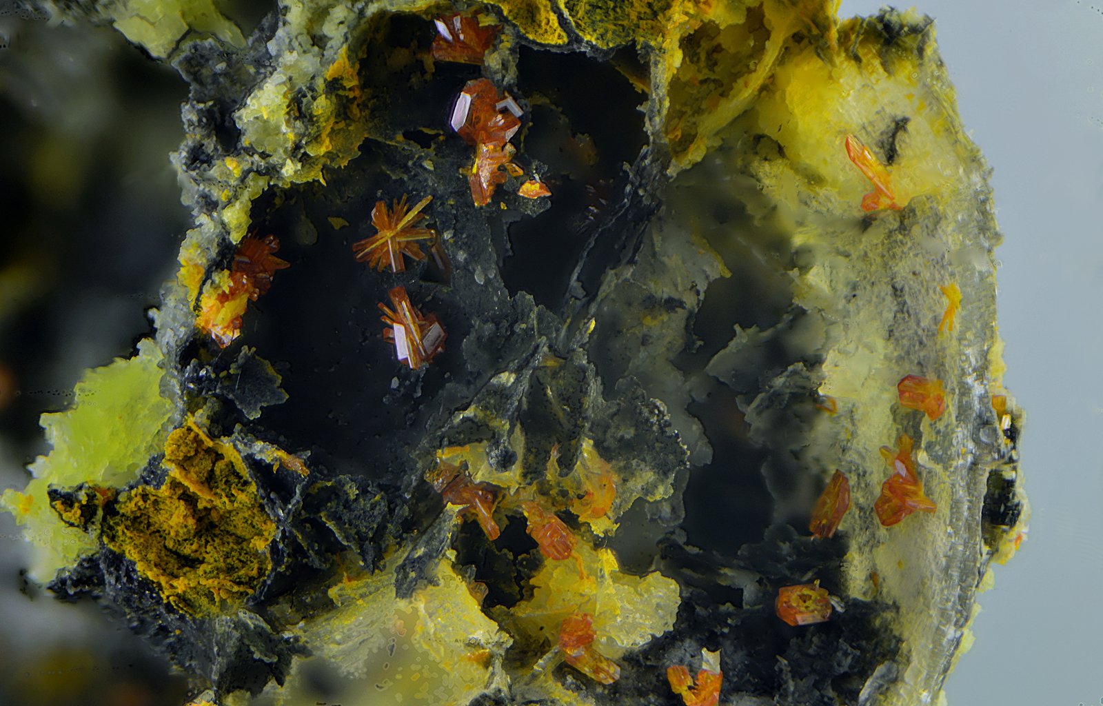 Calderonita
Campo de visión de 3 mm.
(Autor: Antonio Carmona)