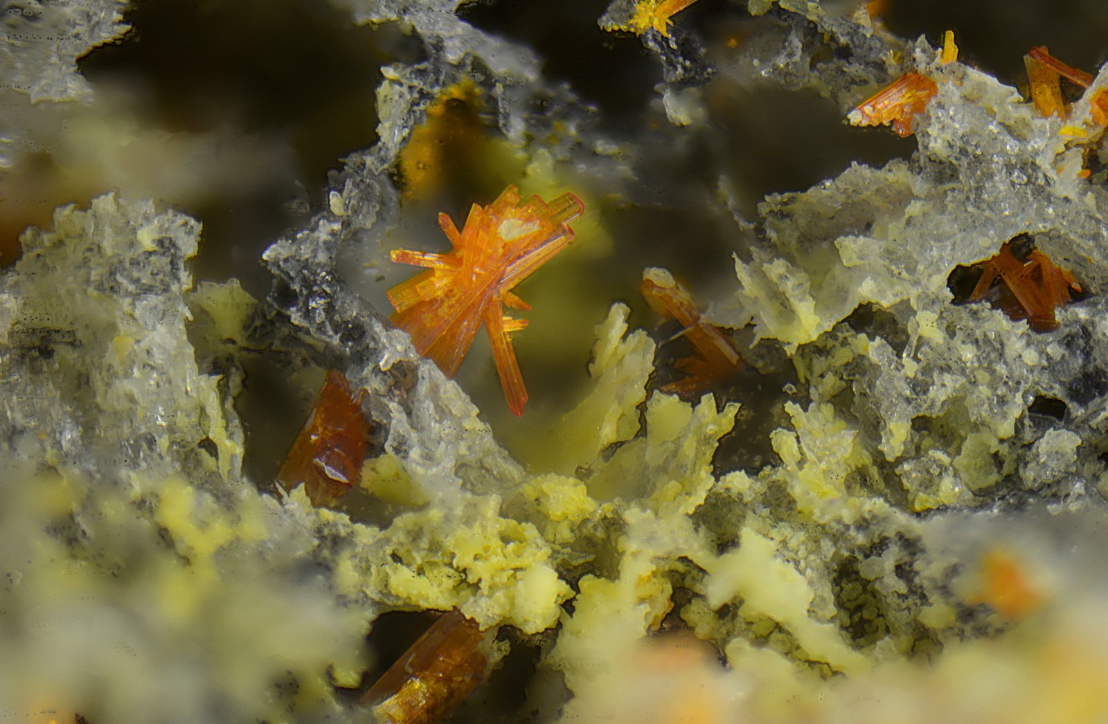 Calderonita
Campo de visión de 1,5 mm
(Autor: Antonio Carmona)