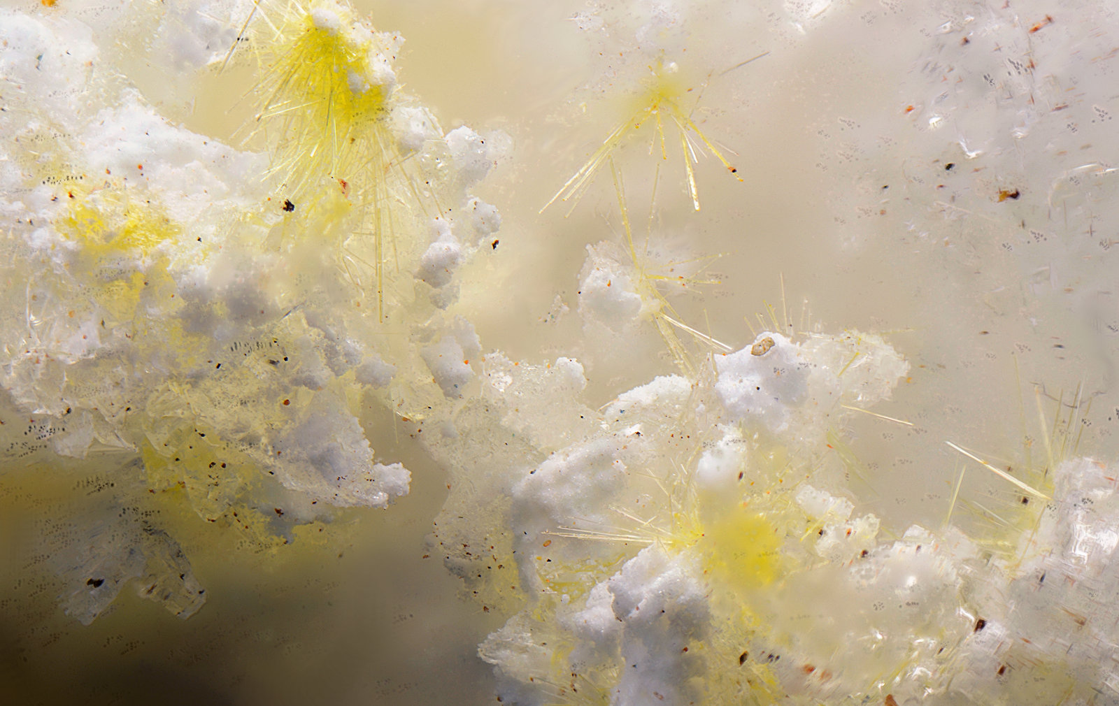 Sklodowskita
Campo de visión de 2 mm
(Autor: Antonio Carmona)