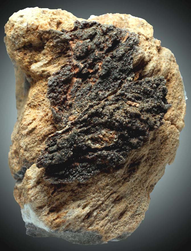 Descloizita
33 x 23 x 16 mm
(Autor: José Luis Zamora)