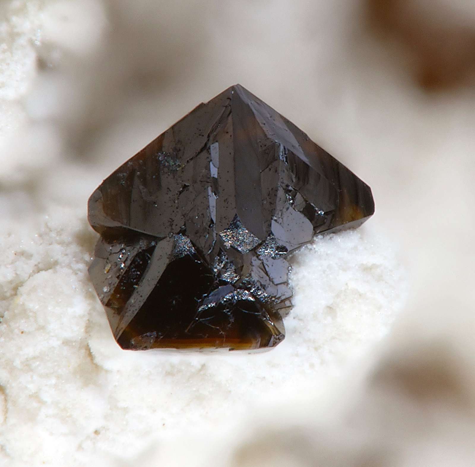 Descloizita
fov 0.9 mm
(Autor: Antonio P. López)