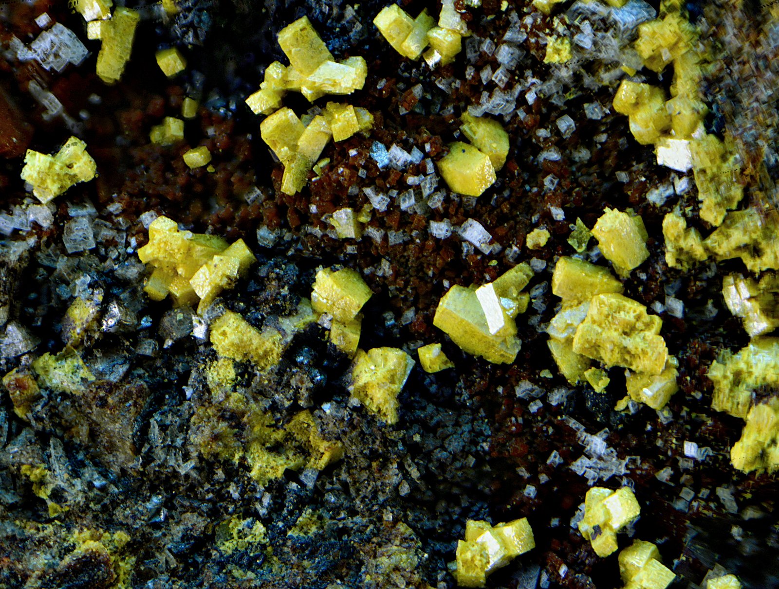 Descloizita
Campo de visión de 1 mm.
(Autor: Antonio Carmona)