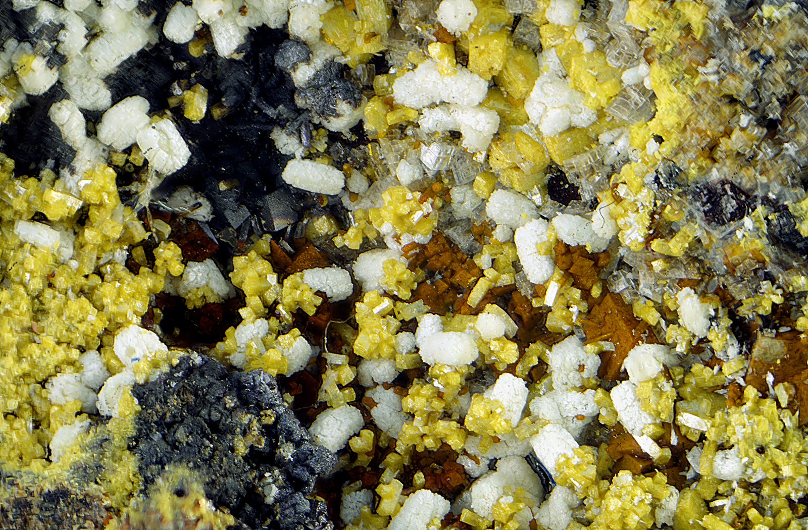 Descloizita y dolomita.
Campo de visión de 3 mm.
(Autor: Antonio Carmona)