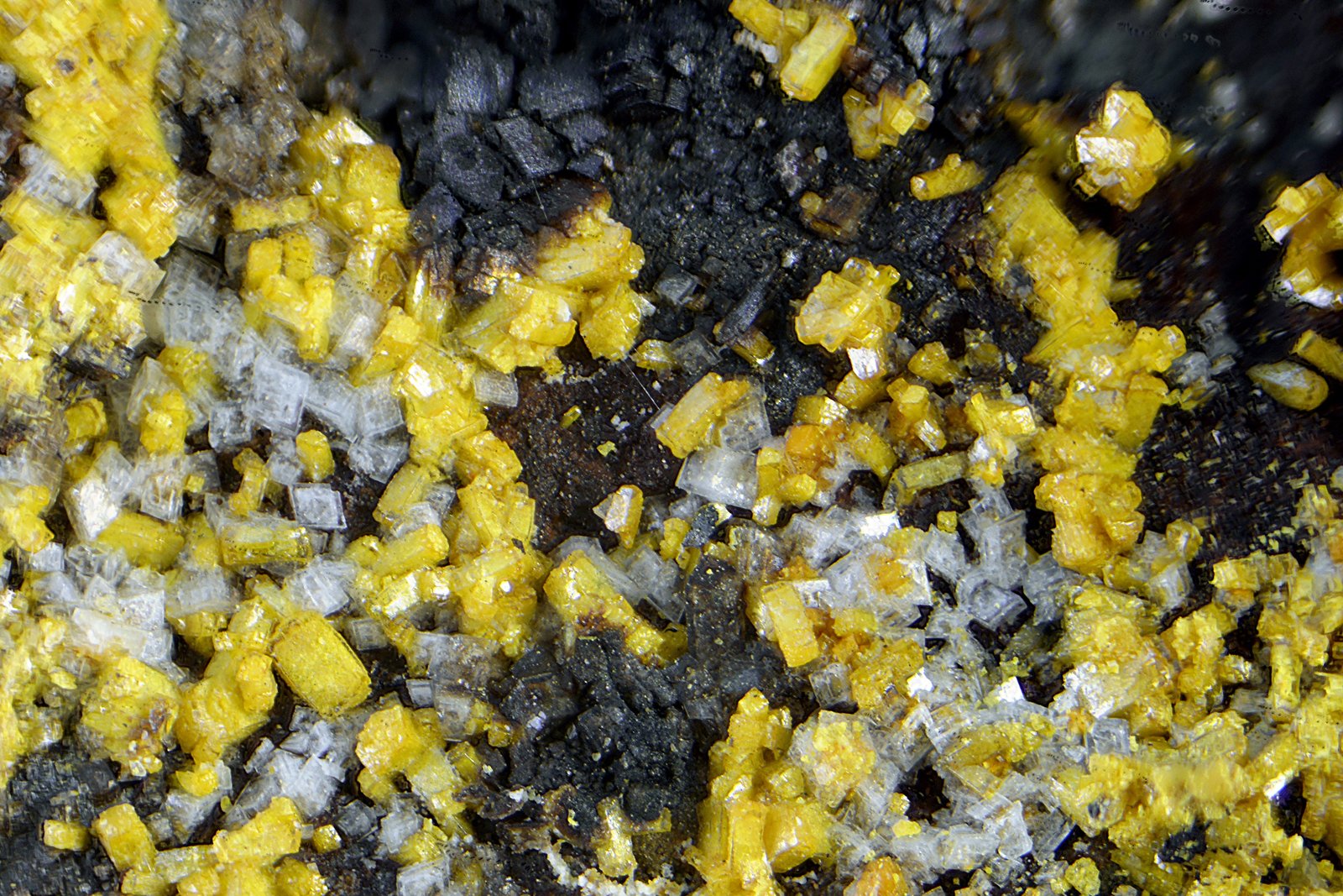 Descloizita y dolomita.
Campo de visión de 3 mm.
(Autor: Antonio Carmona)