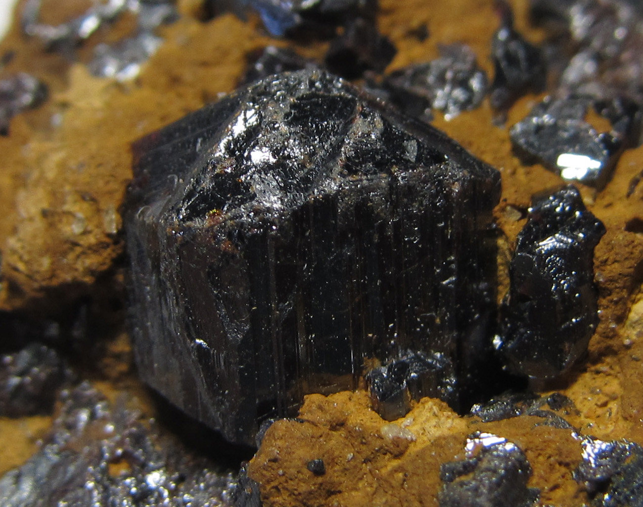 Rutilo
7 x 8 mm. el cristal
(Autor: prcantos)