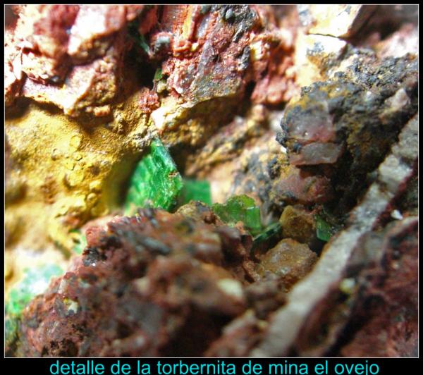 (Autor: Mijeño)