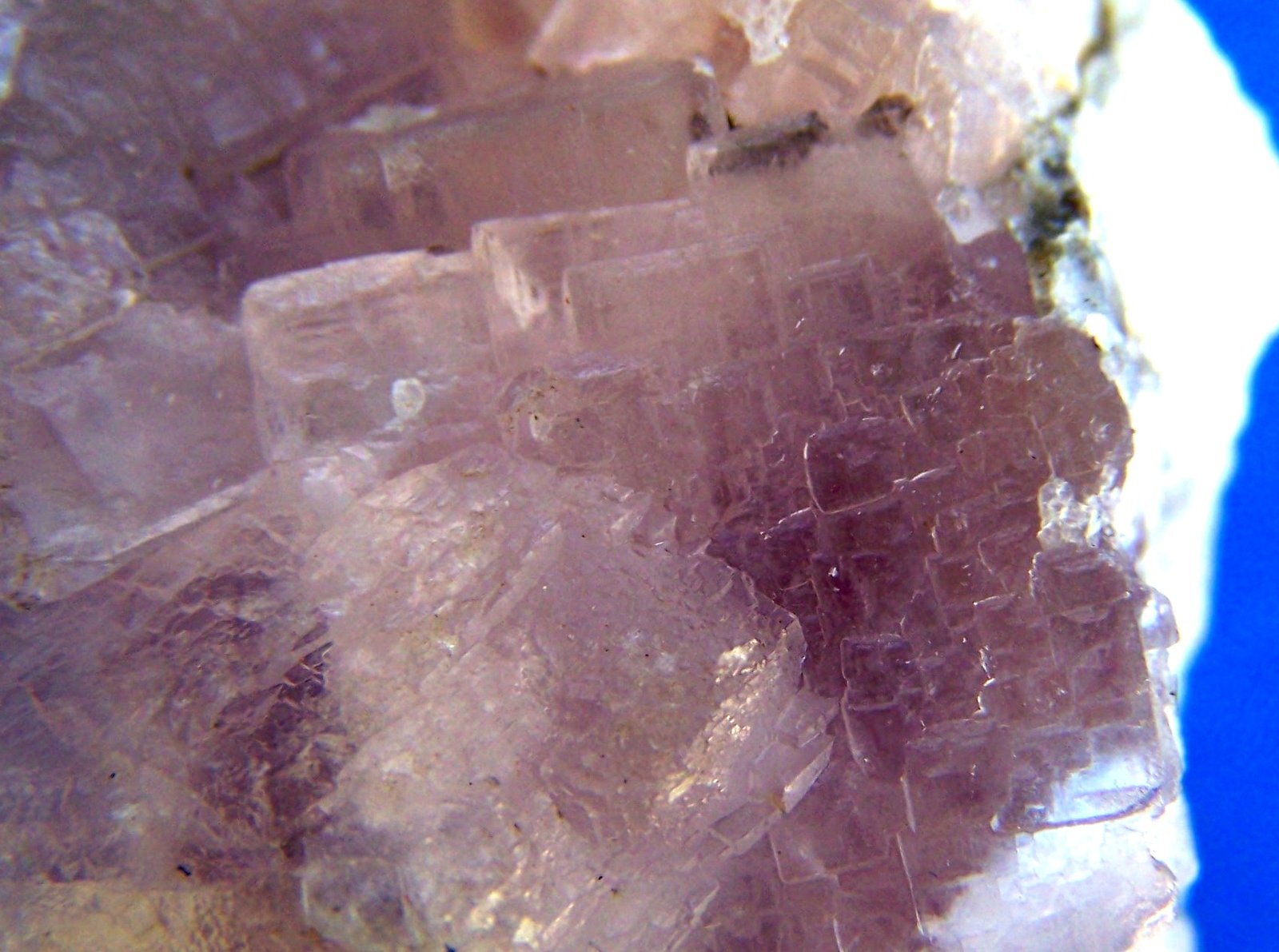 Fluorita
5 x 4 cm.
(Autor: canada)