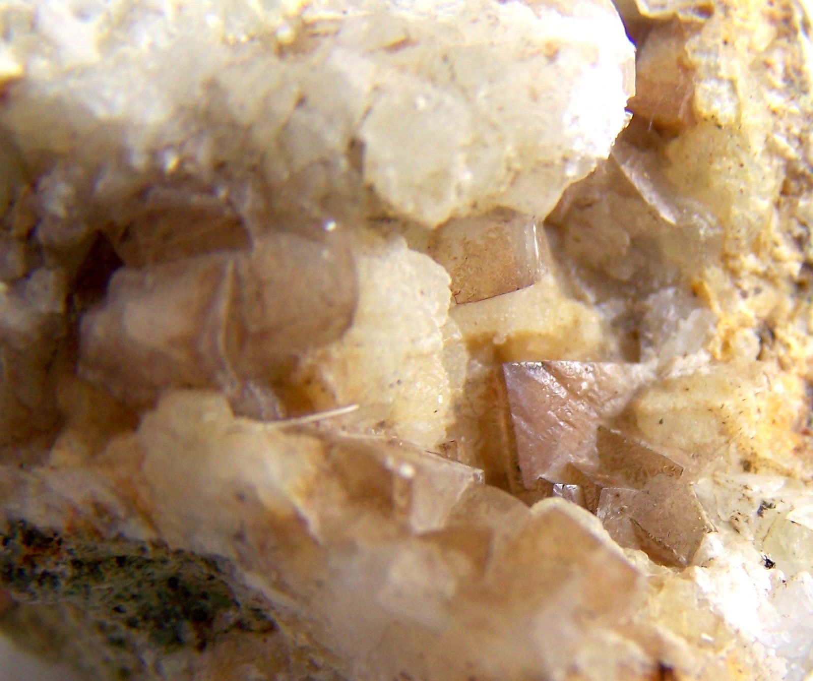 Calcita
5 cm, cristales 0.5 cm
(Autor: canada)