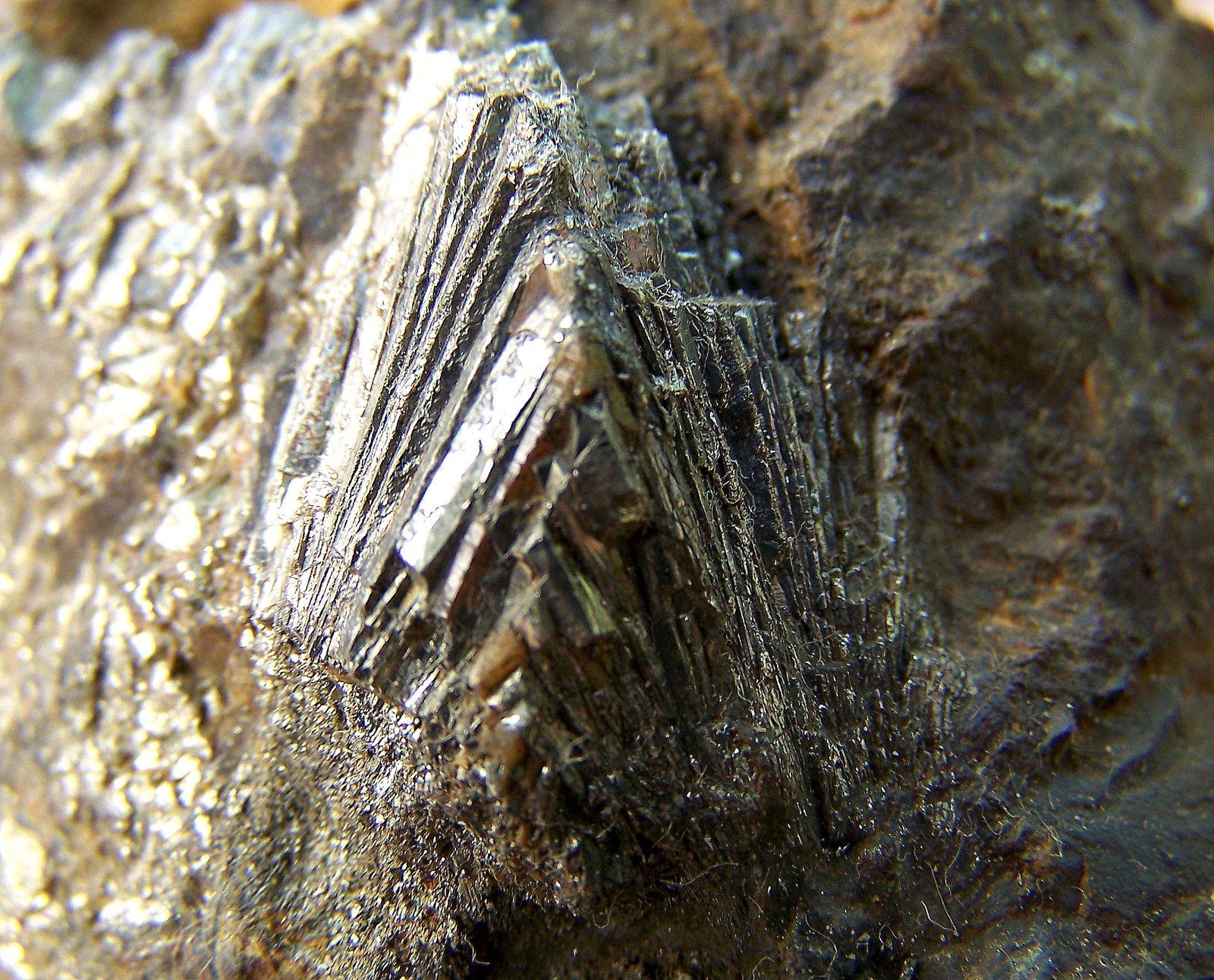 Marcasita
8 x 8 cm. (detalle)
(Autor: canada)