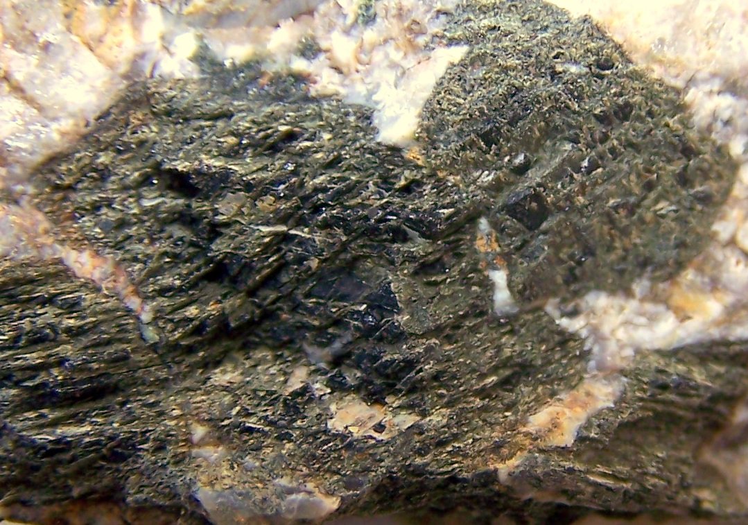 Serpentina (Grupo)
9cm por 6cm
(Autor: canada)