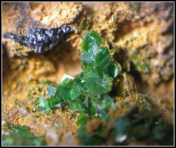 Detalle de la Torbernita
