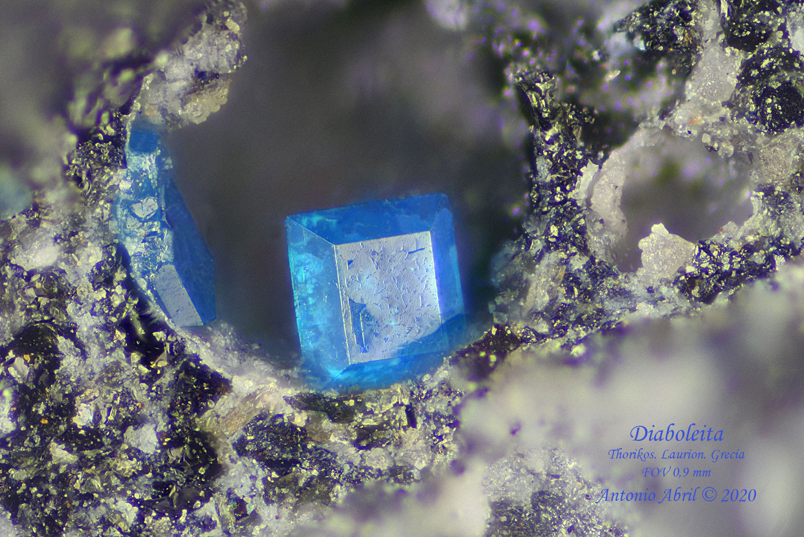 Diaboleita
0.9 mm
(Autor: Antonio Abril)