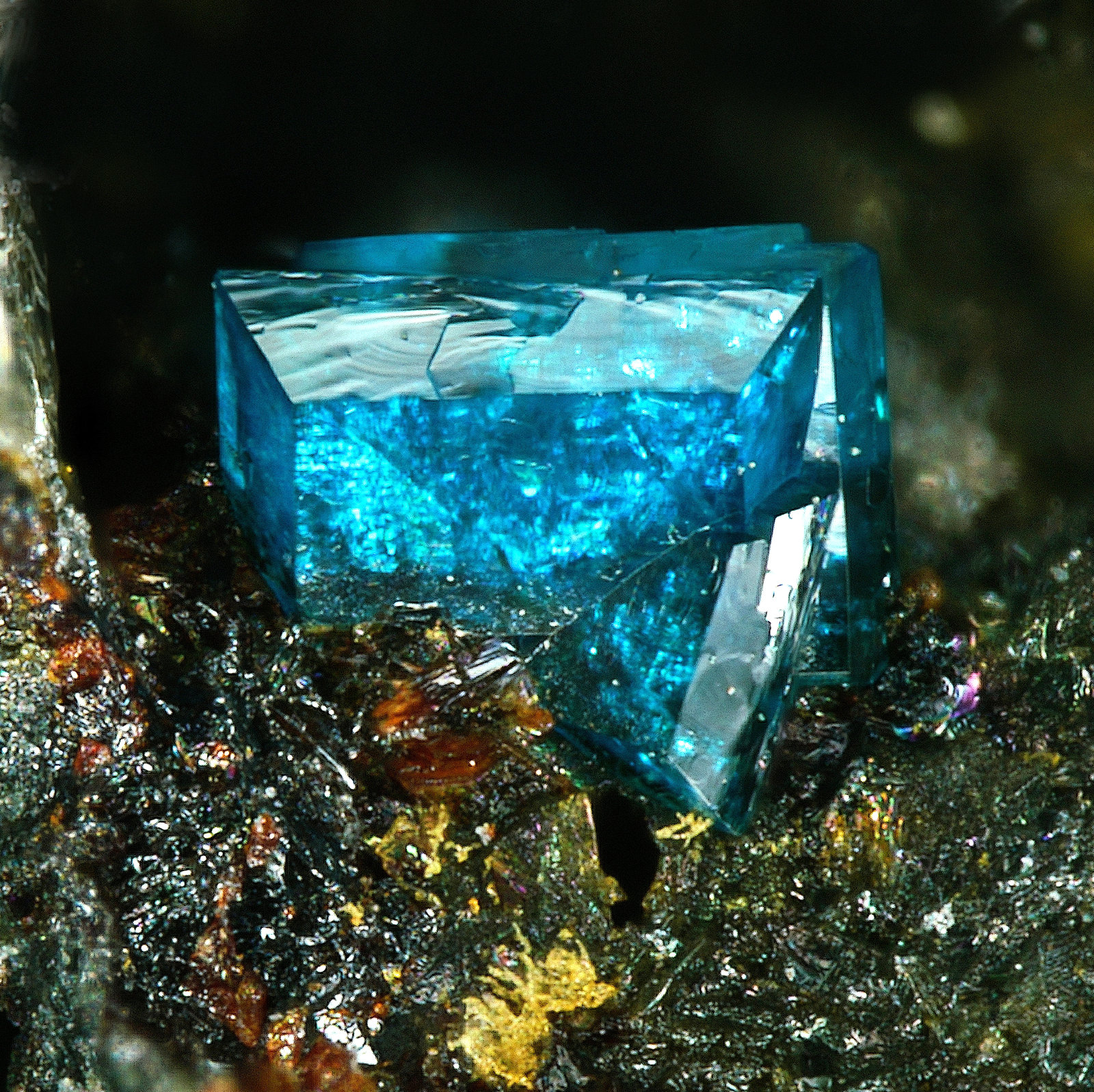 Diaboleita
Campo de visión 0,6 mm.
(Autor: Antonio P. López)