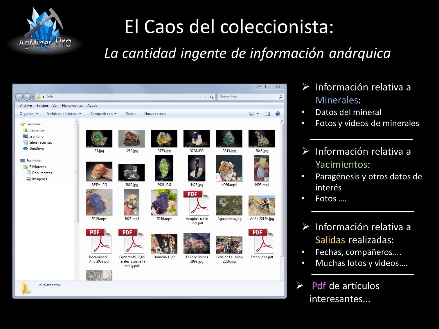 El caos del coleccionista
(Autor: Manuel Mesa)