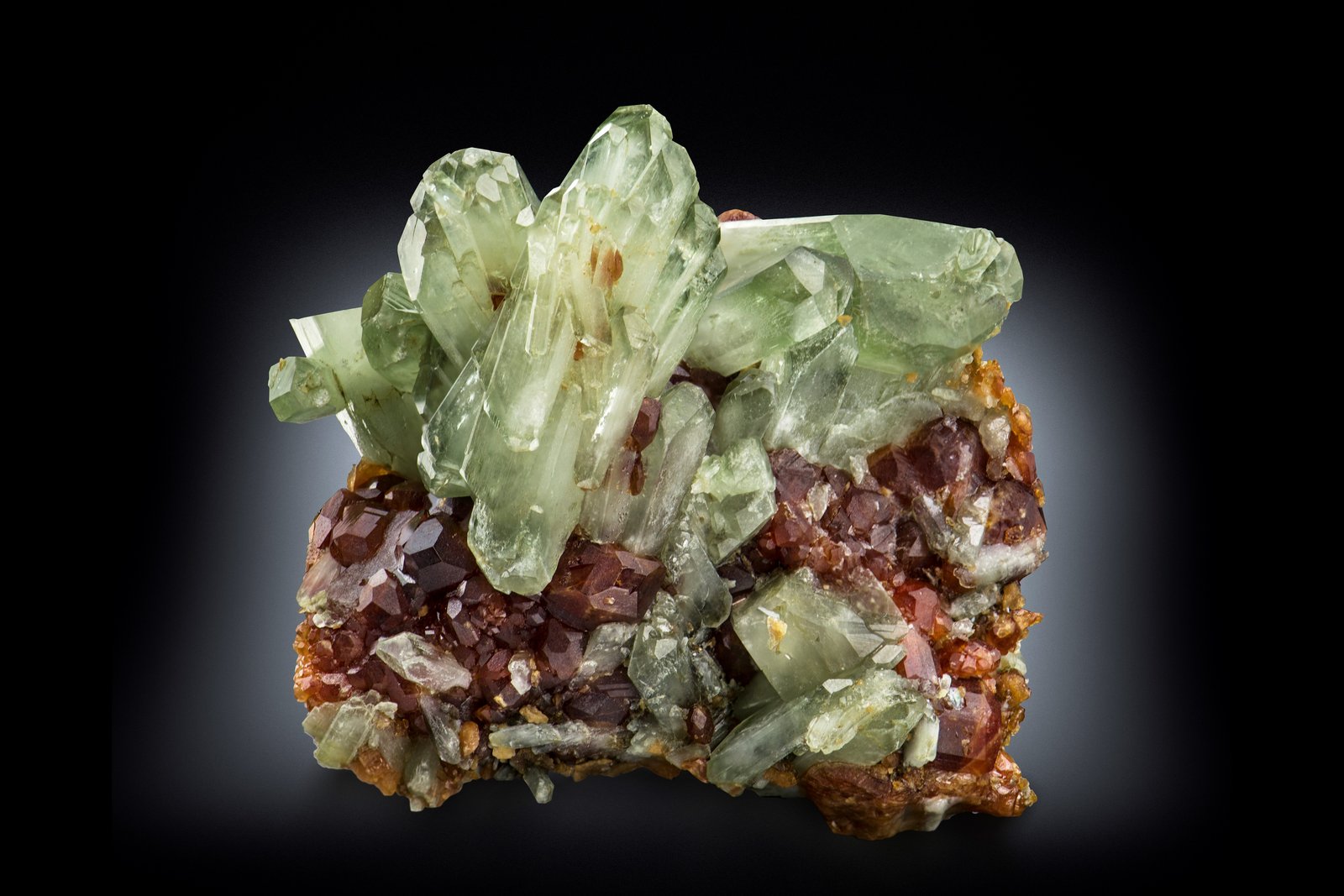 Diópsido en Grossularia (variedad hessonita)
7 x 6 x 5 cm / Cristal principal: 4.3 cm.
(Autor: Museo MIM)