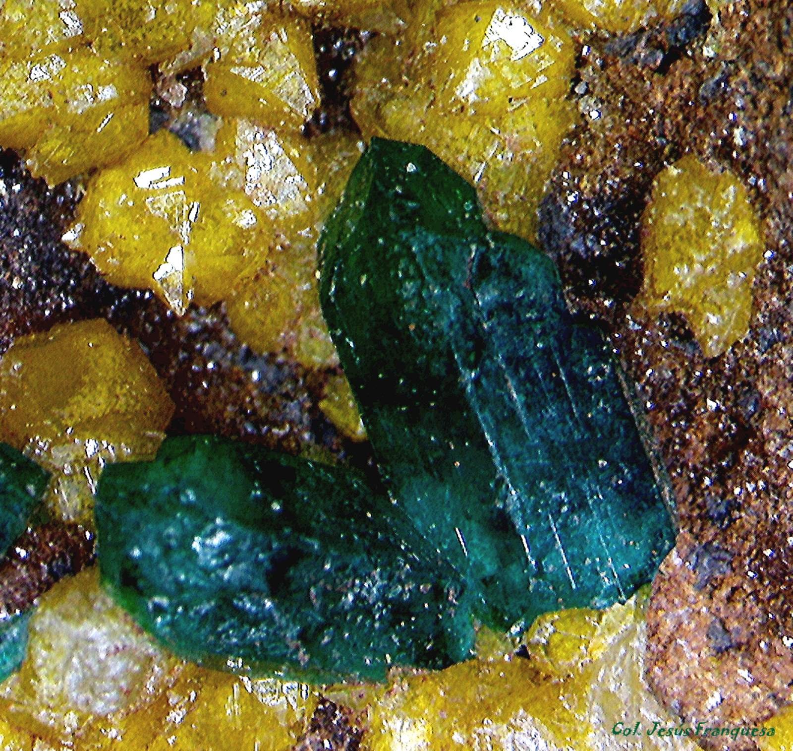 Dioptasa.
2´242 x 1´575 mm.
(Autor: Jesus Franquesa Baucells)
