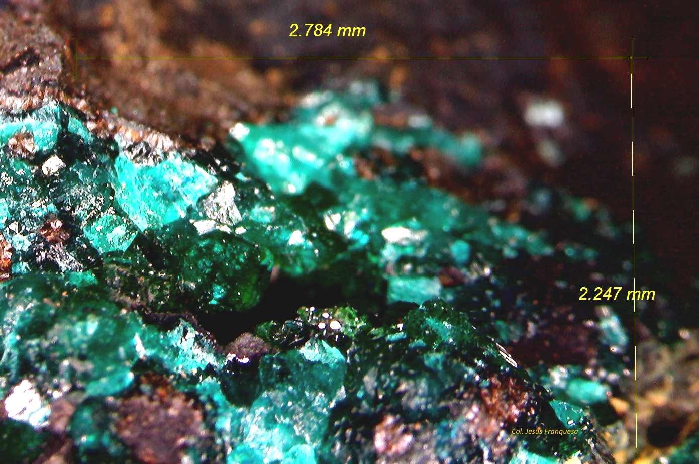 Dioptasa.
2´784 x 2´247 mm.
(Autor: Jesus Franquesa Baucells)