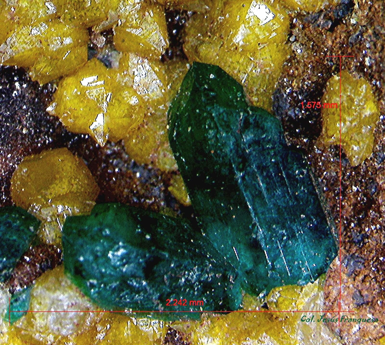 Dioptasa.
2´242 x 1´575 mm.
(Autor: Jesus Franquesa Baucells)