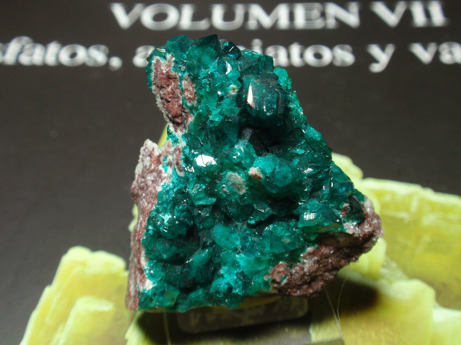 Dioptasa
25x30 mm
(Autor: Ignacio)