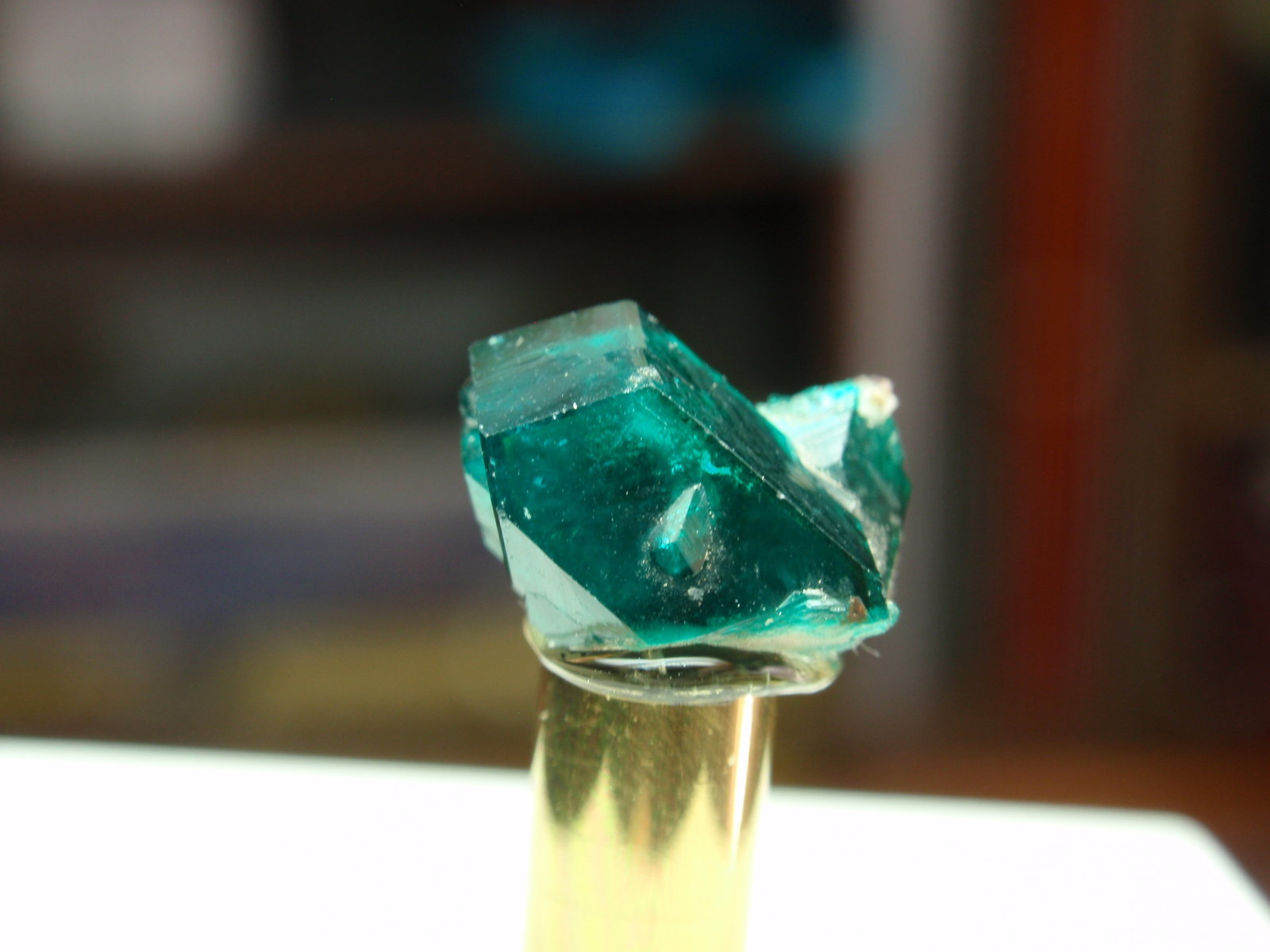 Dioptasa
10x6 mm
(Autor: Ignacio)