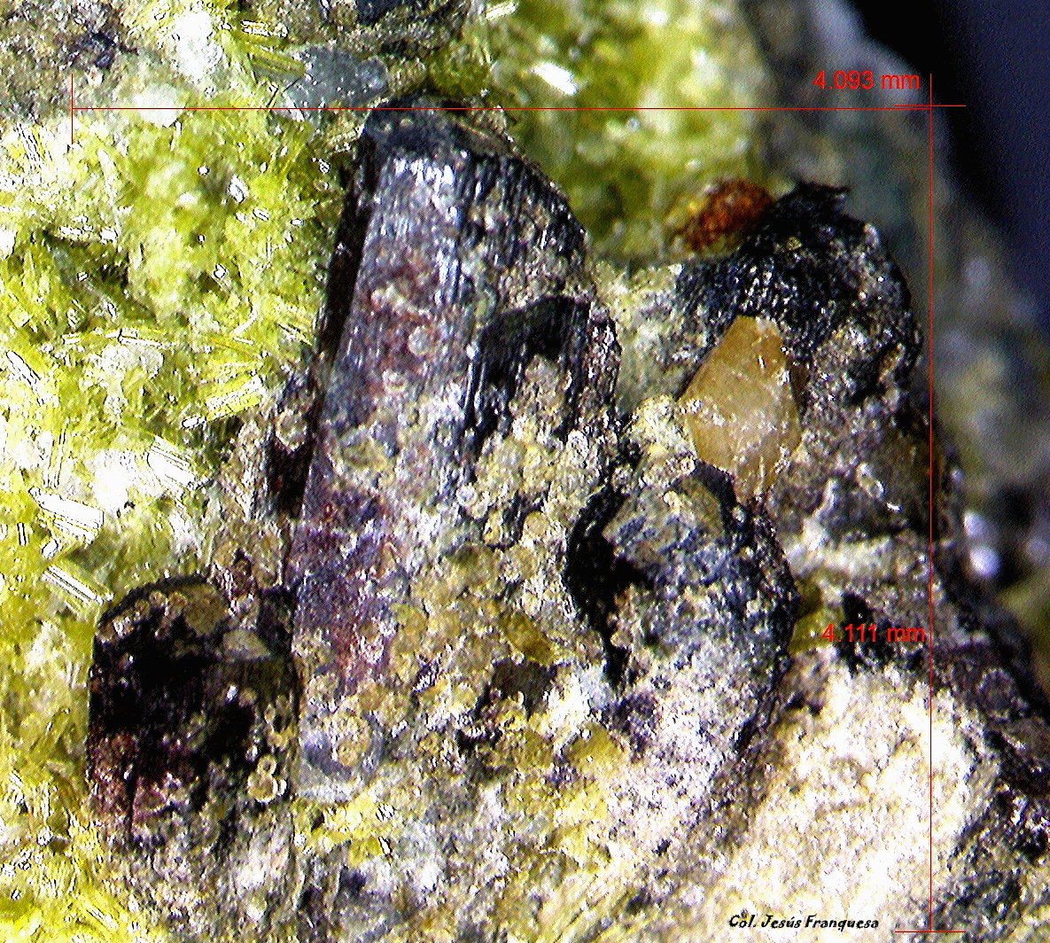 Diópsido y Titanita.
4´111 x 4´093 mm.
(Autor: Jesus Franquesa Baucells)