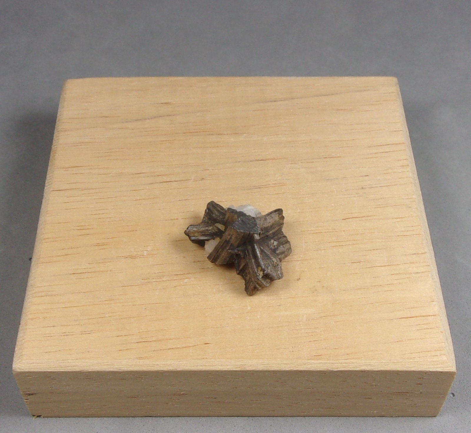 Dyscrasita
1,8 x 1,5 x 1,3 cm.
(Autor: J. G. Alcolea)