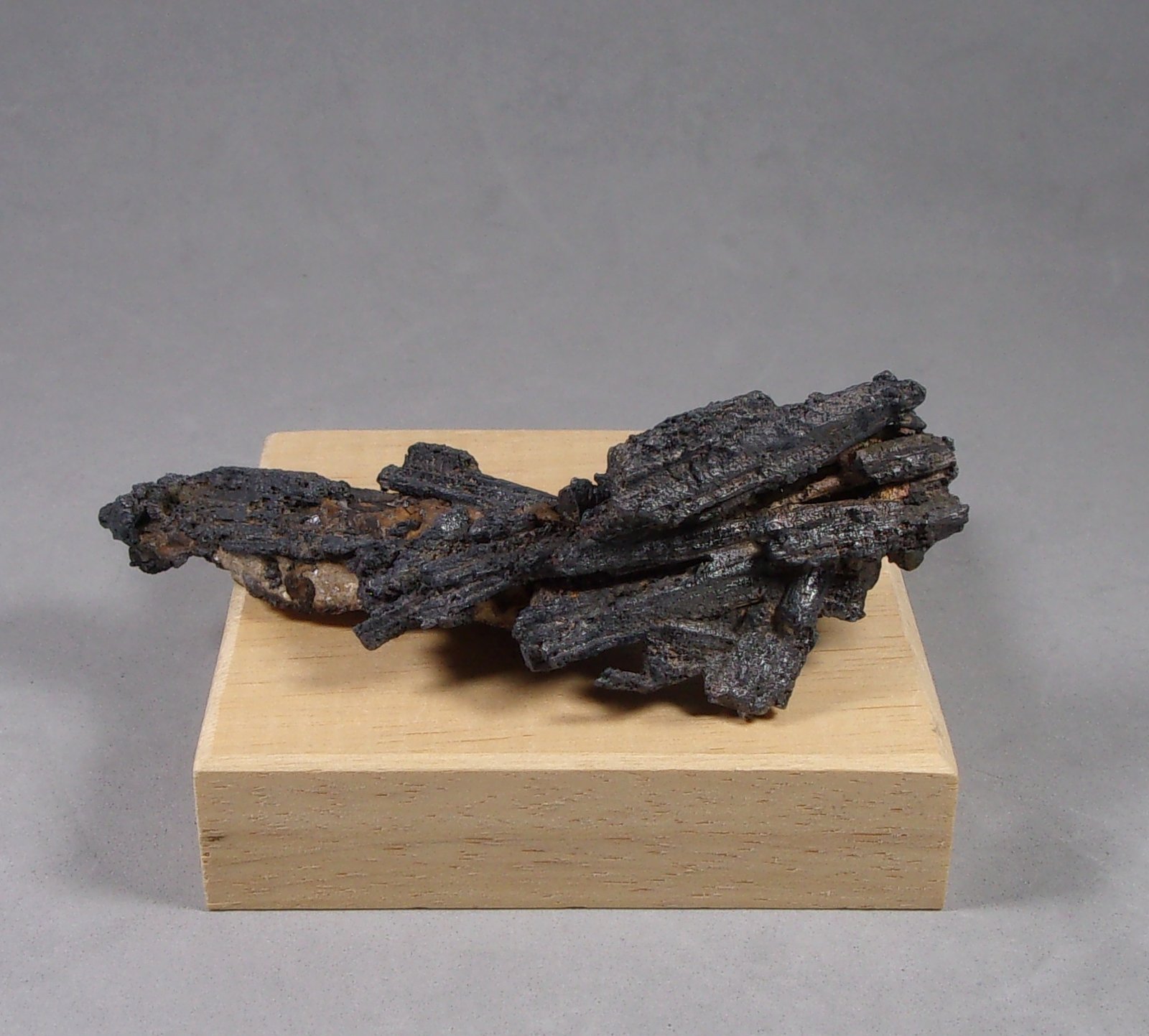 Plata nativa pseudomórfica de Dyscrasita
8 x 2,7 x 2,7 cm.
(Autor: J. G. Alcolea)